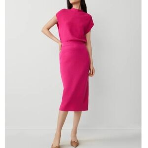 Ann Taylor Vibrant Pink Dress Medium NWT
